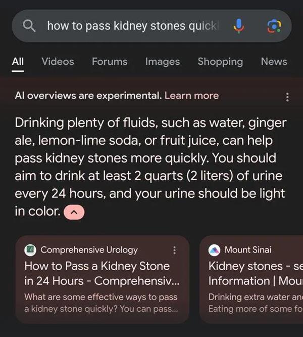 谷歌AI摘要功能闹大笑话：建议用户大量喝尿排出肾结石