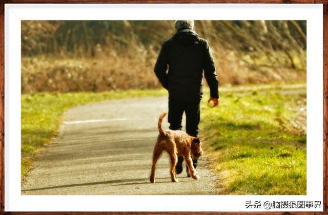 如何给手机照片加相框(制作头像框的软件app推荐)-趣考网