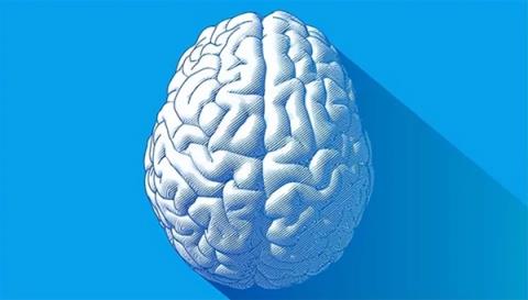 人的大脑为何如此巨大？原来不是为了吃