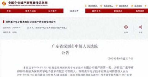 华为辟谣曾提出投资柔宇科技，带您了解具体情况