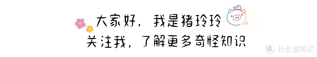 南卡RUNNER3骨传导耳机,运动爱好者又一个不错的选择-趣考网