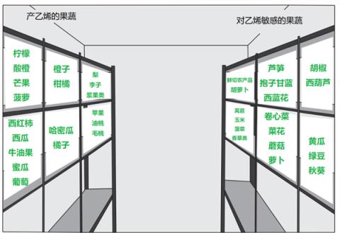 家人们这两类水果在冰箱里真的不要放一起！-趣考网