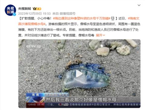 去海边玩看到“塑料袋”赶紧跑、别犹豫！-趣考网