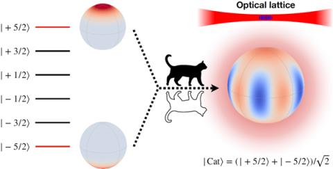 中国科学家让“薛定谔的猫”活了20多分钟！-趣考网