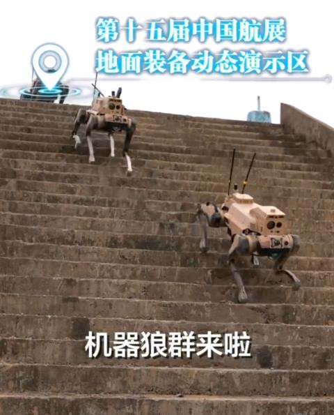 中国造出机器狼群兵器：头狼、射手、辅助多角色协同作战-趣考网