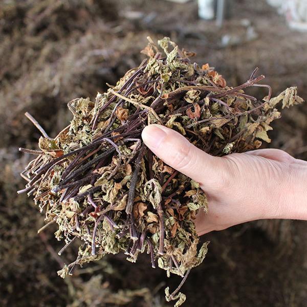 烧仙草是什么做的(浅谈烧仙草的成分与做法)