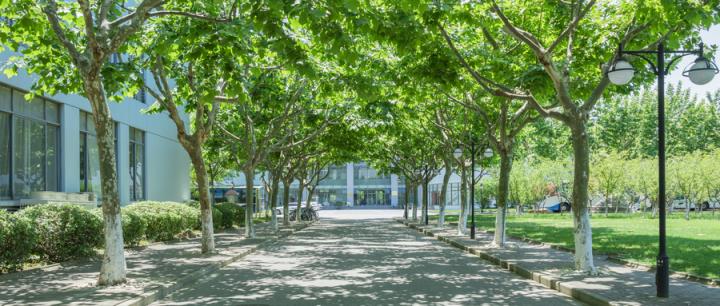 北京十大民办野鸡大专-北京民办专科学校排名(图3)