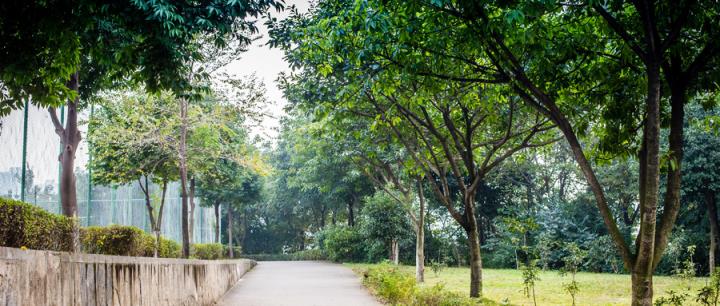 最“垃圾”的211大学有哪些？附2024年全国211大学排名(图2)