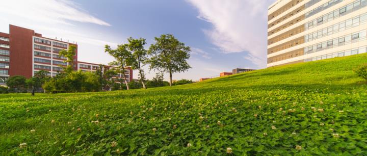 最“垃圾”的211大学有哪些？附2024年全国211大学排名(图3)