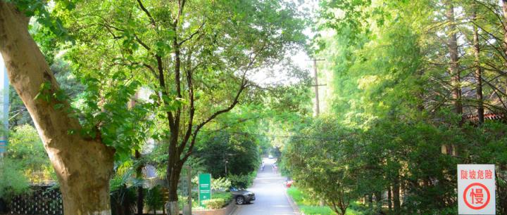 全国最好的计算机科学与技术专业大学排名（含2024分数线）(图4)
