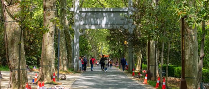 中国大学最新排名表及录取分数线（2025届参考）(图3)