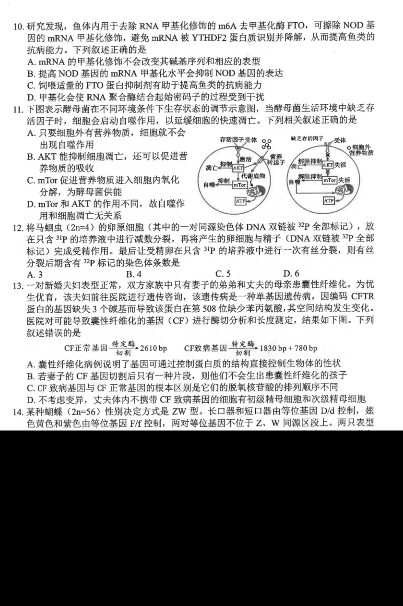 2025绵阳市一诊考试答案+试卷真题（含语数英政史地物化生）(图65)