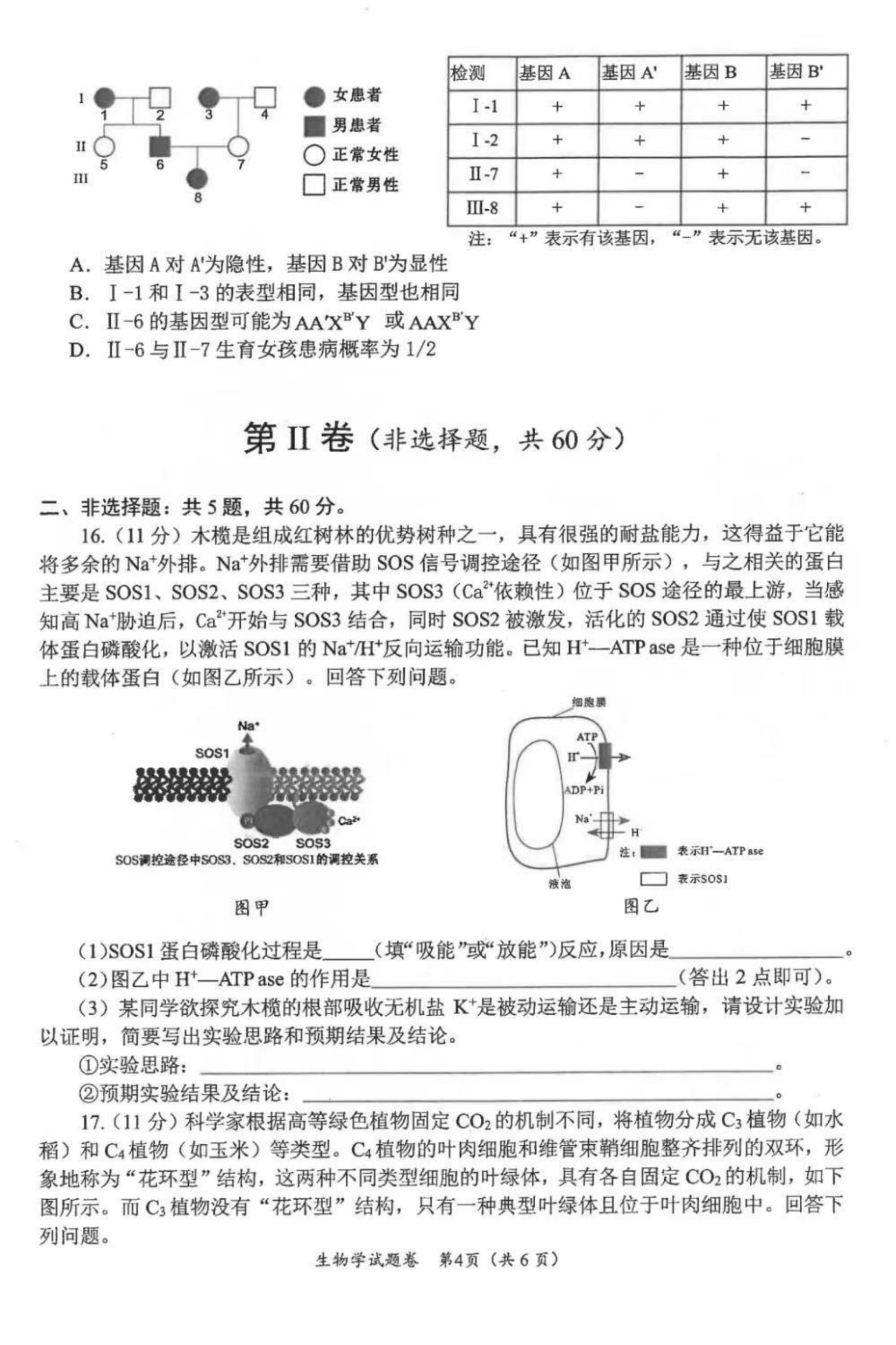 2025绵阳市一诊考试答案+试卷真题（含语数英政史地物化生）(图66)