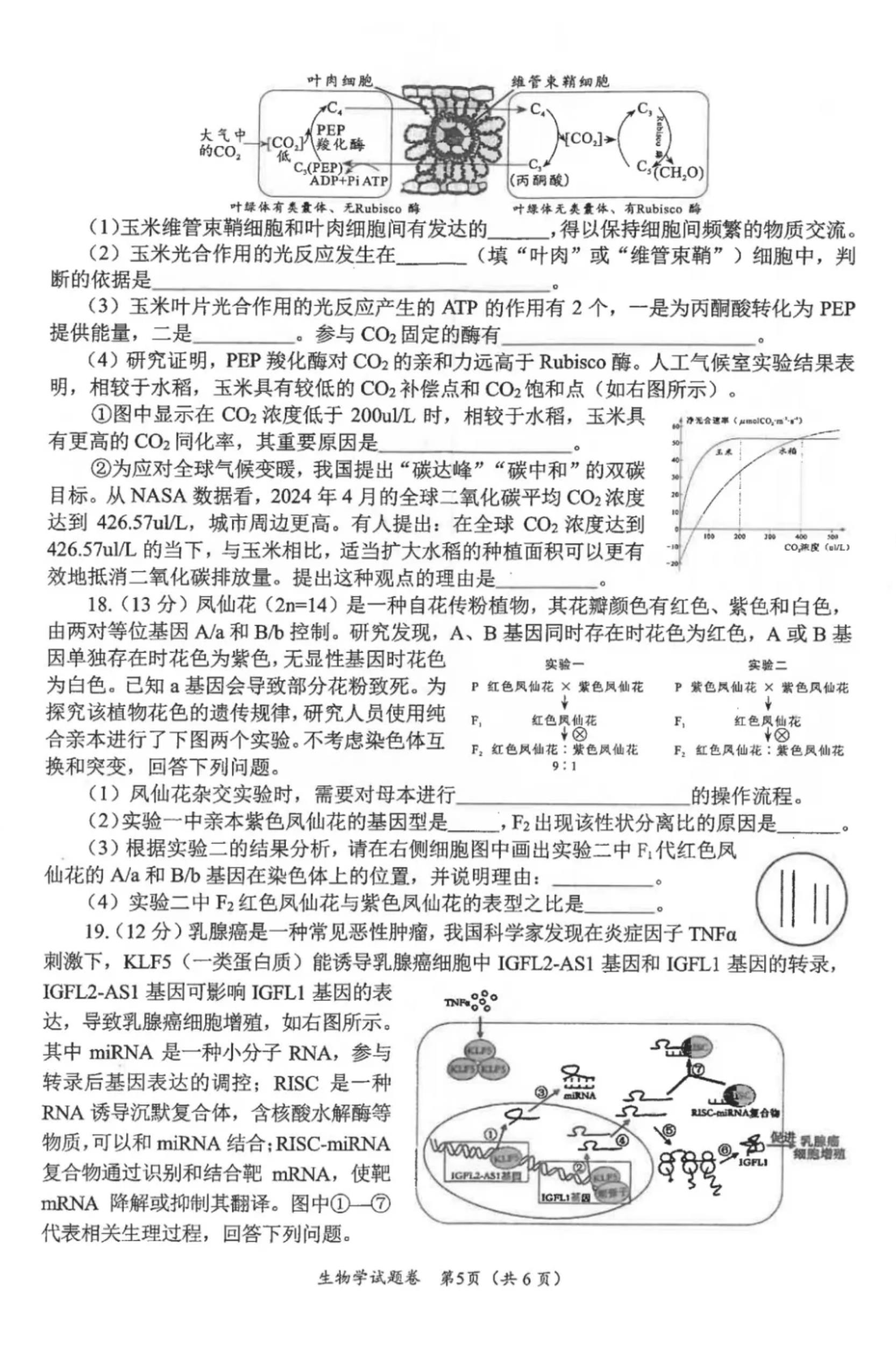 2025绵阳市一诊考试答案+试卷真题（含语数英政史地物化生）(图67)