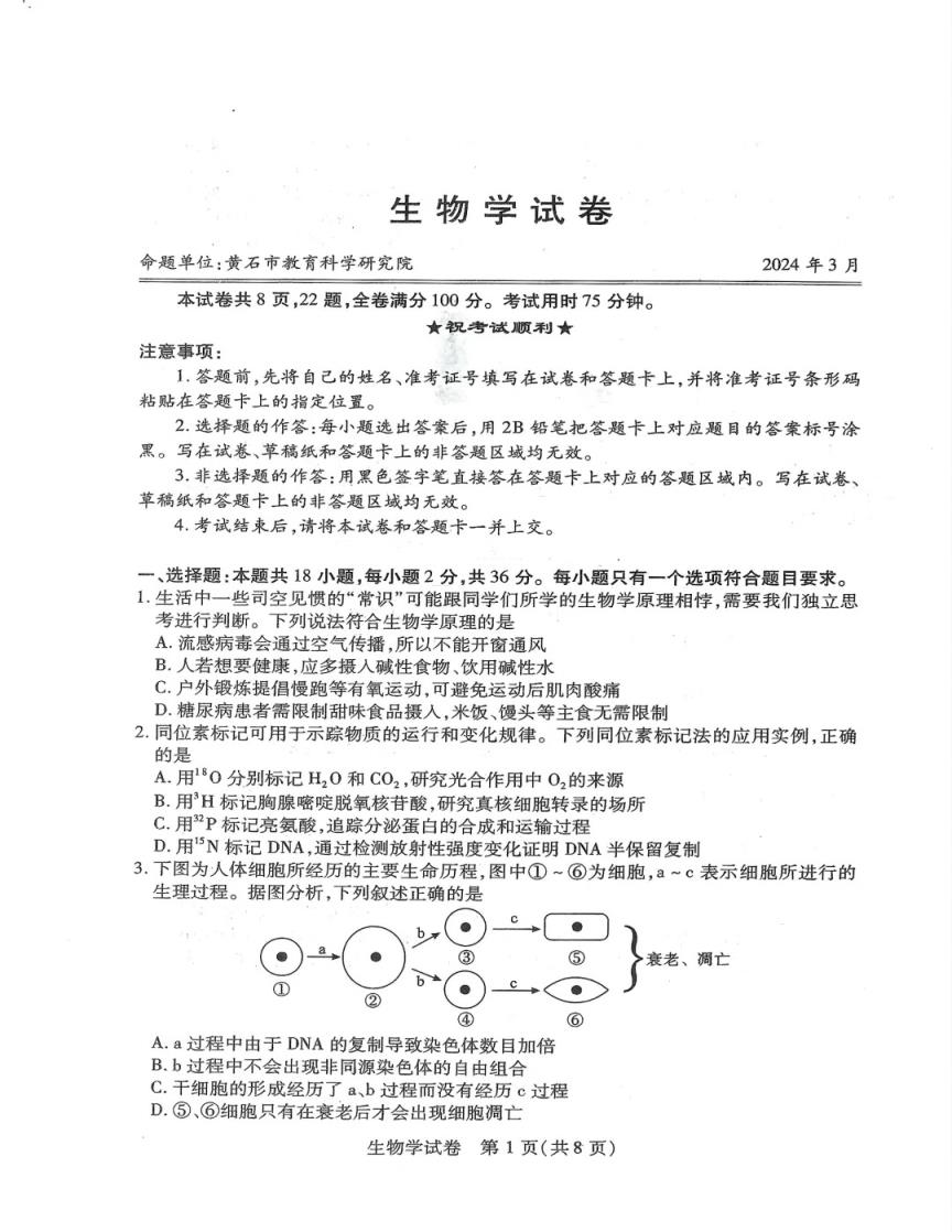 2024年湖北省八市联考各科试卷及参考答案（高三九科全）(图83)