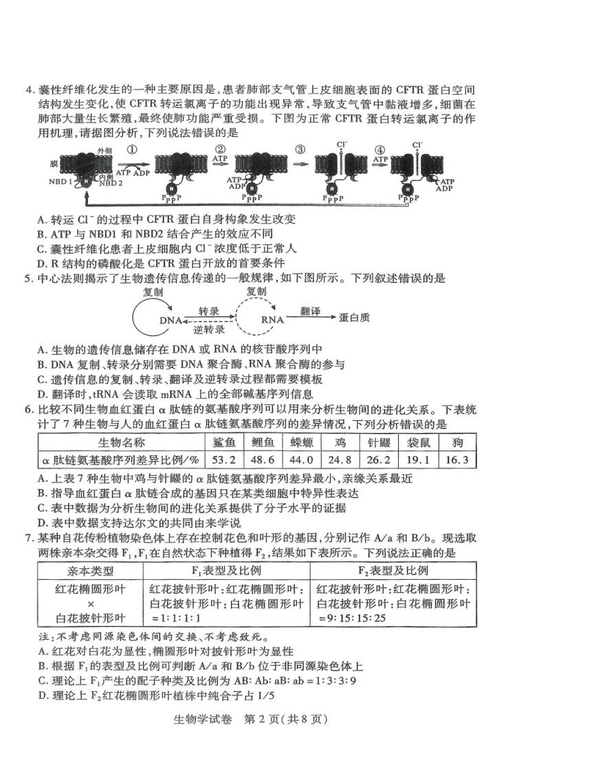 2024年湖北省八市联考各科试卷及参考答案（高三九科全）(图84)