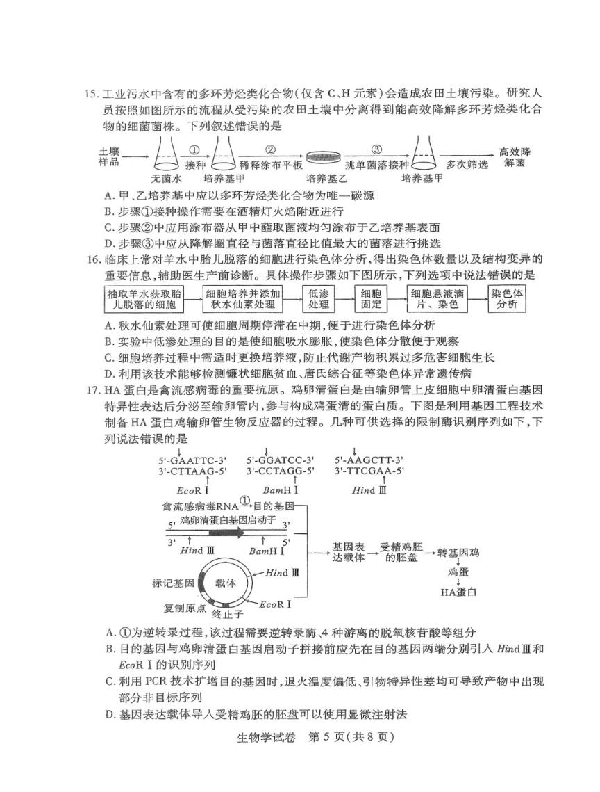 2024年湖北省八市联考各科试卷及参考答案（高三九科全）(图87)