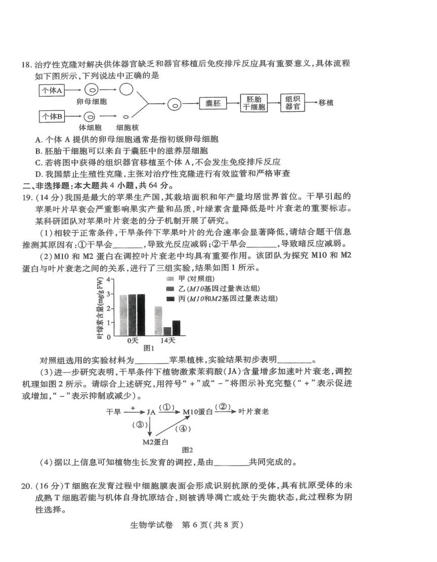 2024年湖北省八市联考各科试卷及参考答案（高三九科全）(图88)
