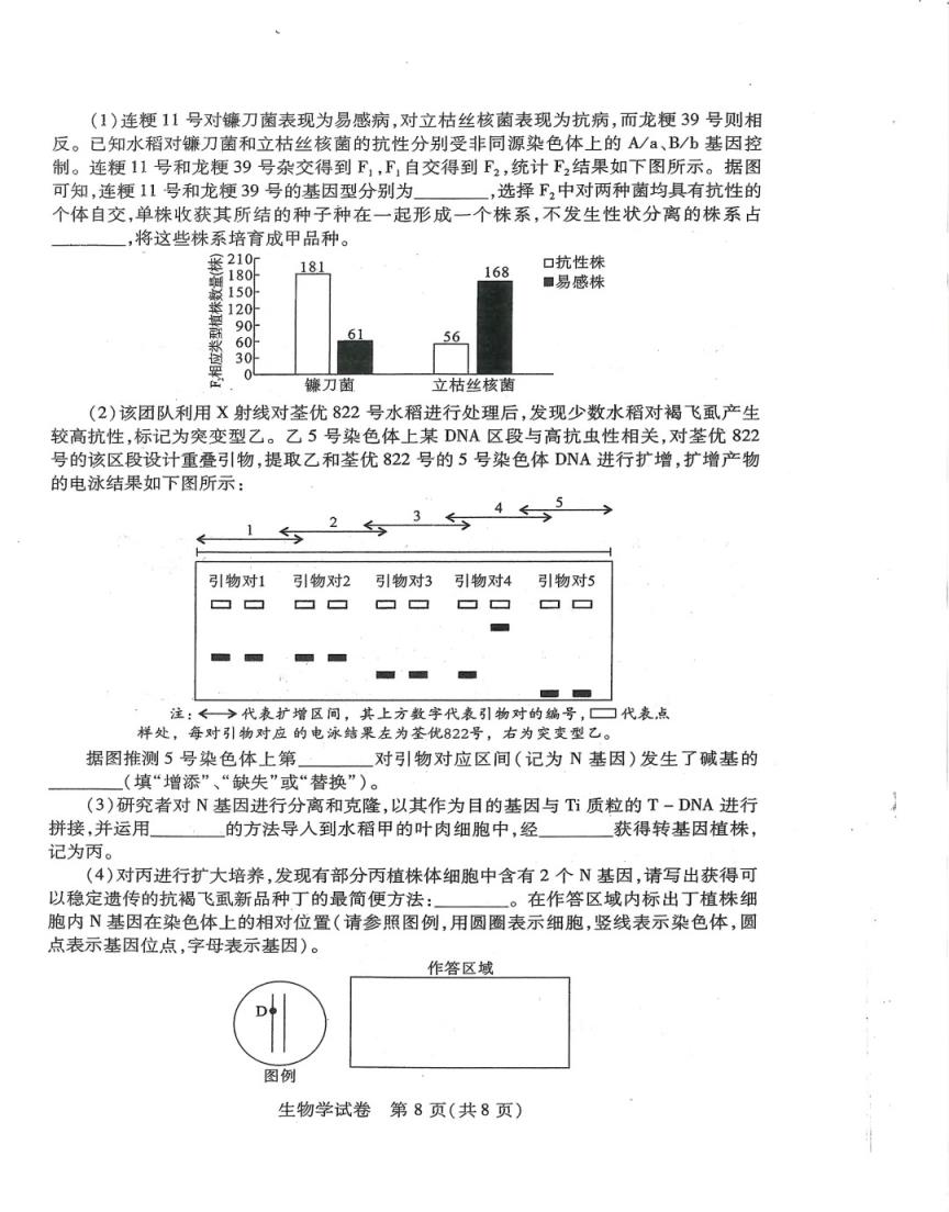 2024年湖北省八市联考各科试卷及参考答案（高三九科全）(图90)