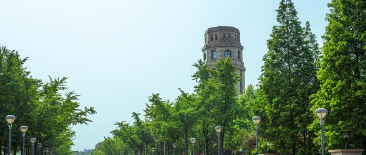 2025河北省三大专项计划政策汇总：报考条件+实施地区+招生院校(图3)