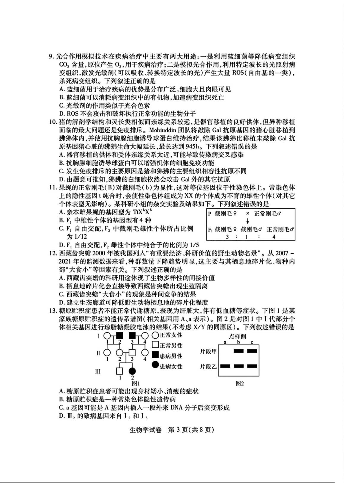 湖北七市州联考2024各科答案及试卷（九科全）(图96)