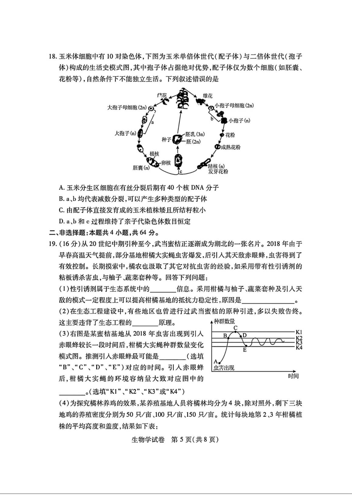 湖北七市州联考2024各科答案及试卷（九科全）(图98)