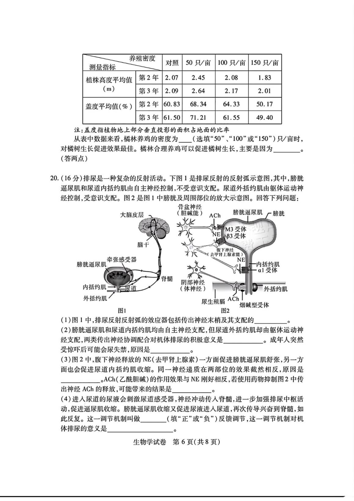 湖北七市州联考2024各科答案及试卷（九科全）(图99)