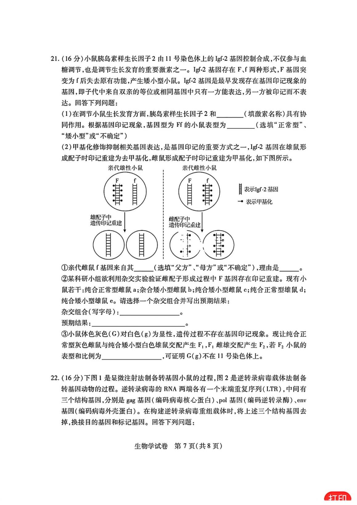 湖北七市州联考2024各科答案及试卷（九科全）(图100)