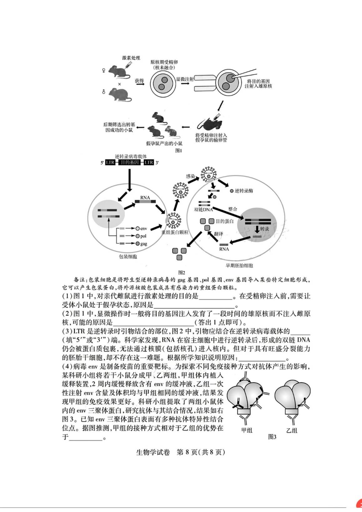 湖北七市州联考2024各科答案及试卷（九科全）(图101)
