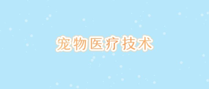 专科宠物医疗技术院校排名以及分数线（2025届考生参考）-趣考网