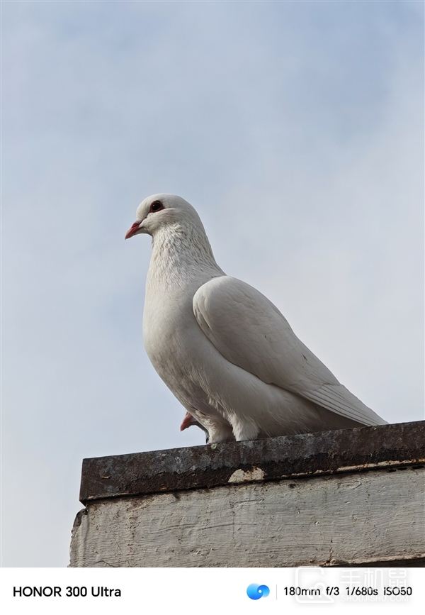 荣耀300 Ultra值得买吗？荣耀300 Ultra有哪些优点