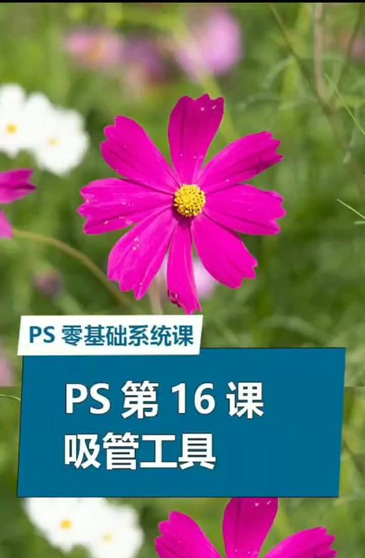 在photoshop吸管工具作用是什么？如何正确使用吸管工具？-趣考网