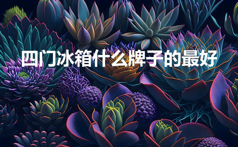 四门冰箱什么牌子的最好（选购四门冰箱的四个指标）-趣考网