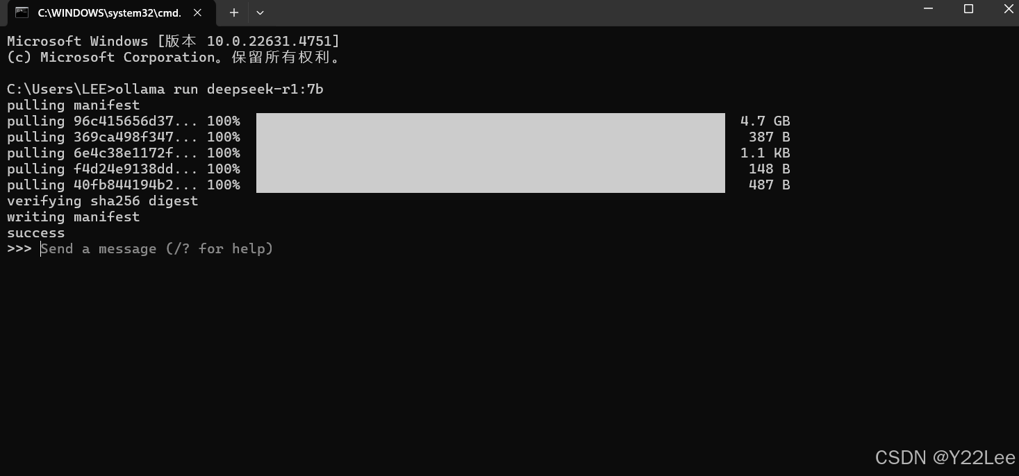 DeepSeek本地部署并实现可视化WebUI图文教程