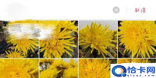 苹果手机私密图片如何打开？怎么查看手机中被加密的私密照片