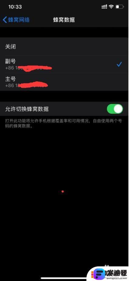 苹果手机连双网线设置怎么设置