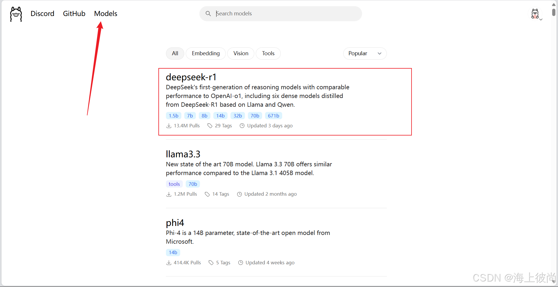 在Node.js环境下本地部署DeepSeek大语言模型全攻略