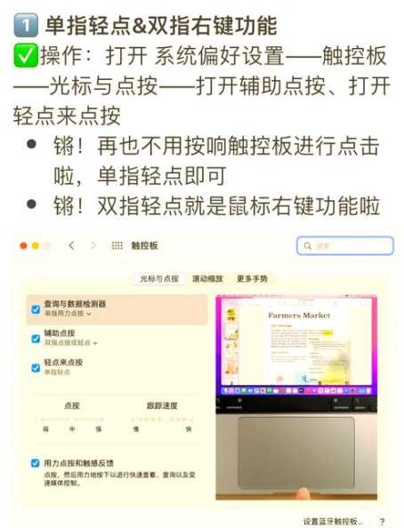 Mac1465升级Win11，兼容性如何？安装步骤详解？-趣考网