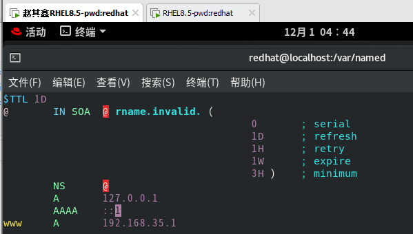 redhat8怎么配置DNS服务（DNS服务配置教程）