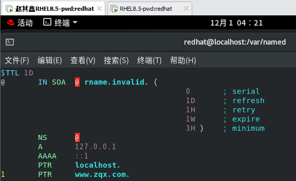 redhat8怎么配置DNS服务（DNS服务配置教程）