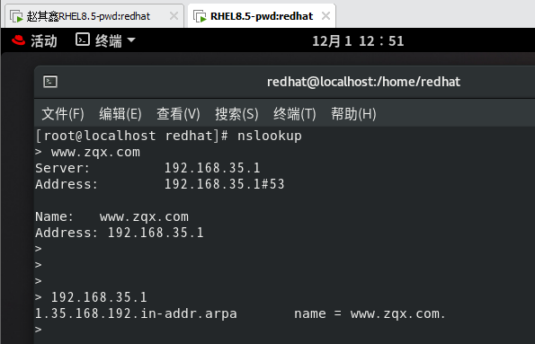 redhat8怎么配置DNS服务（DNS服务配置教程）