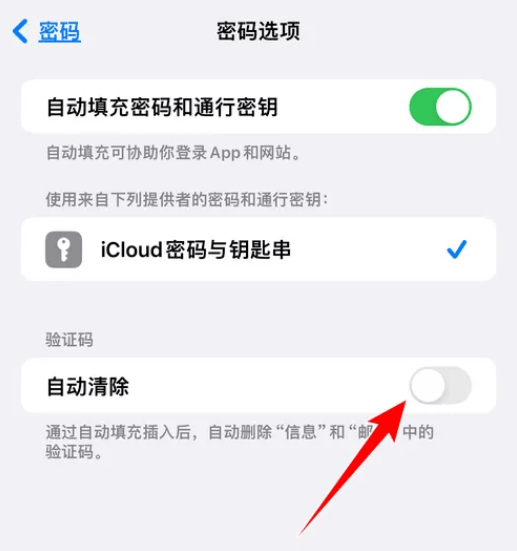 苹果手机怎么关闭自动删除密码