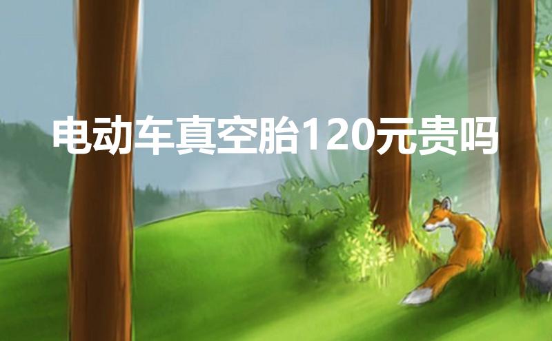 电动车真空胎120元贵吗(价格与性能对比)