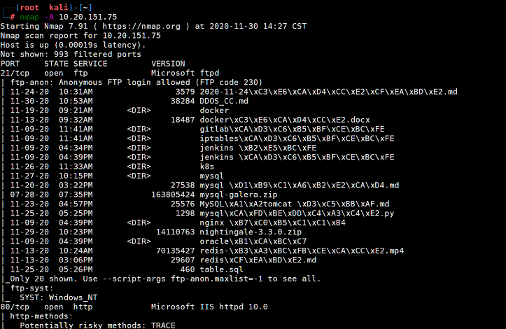 Nmap 常用的参数有哪些？