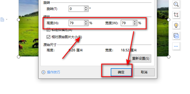 如何放大WPS文档中插入图片的尺寸大小