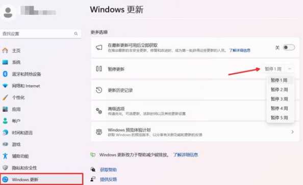 为什么电脑没提示更新win11？如何手动检查更新？-趣考网
