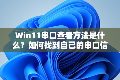 Win11串口查看方法是什么？如何找到自己的串口信息？