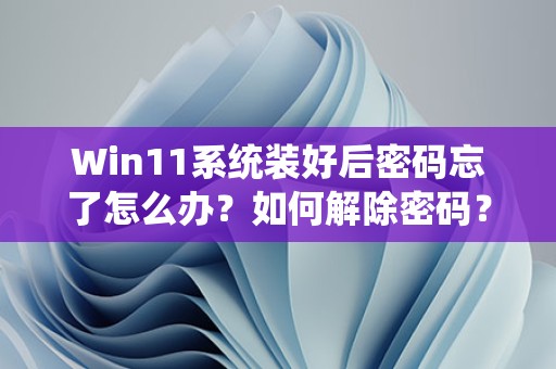 Win11系统装好后密码忘了怎么办？如何解除密码？-趣考网