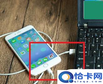 苹果手机图片怎么存？win10如何使用iTunes浏览iphone手机相册-趣考网