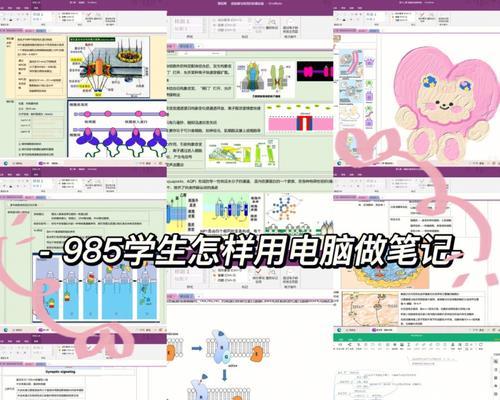 电脑如何使用旋律声音软件？操作步骤是什么？